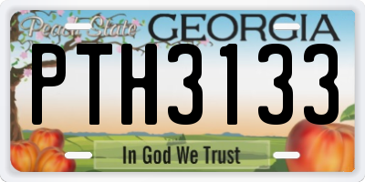 GA license plate PTH3133