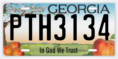 GA license plate PTH3134