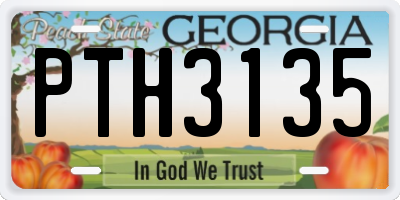 GA license plate PTH3135