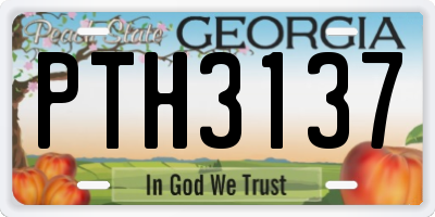 GA license plate PTH3137