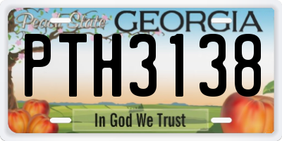 GA license plate PTH3138