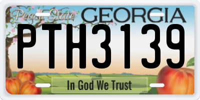 GA license plate PTH3139