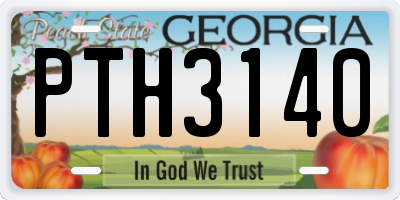 GA license plate PTH3140