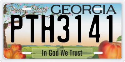 GA license plate PTH3141