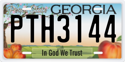 GA license plate PTH3144