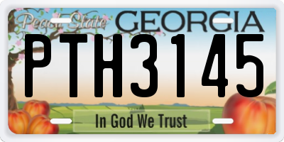 GA license plate PTH3145