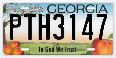GA license plate PTH3147