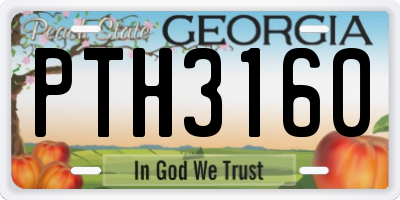 GA license plate PTH3160