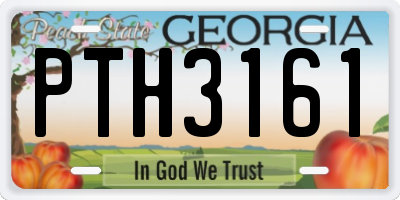 GA license plate PTH3161