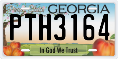 GA license plate PTH3164