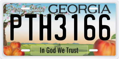GA license plate PTH3166