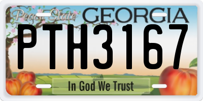 GA license plate PTH3167