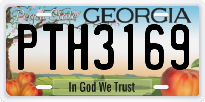 GA license plate PTH3169