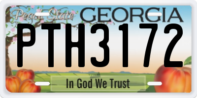GA license plate PTH3172