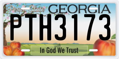 GA license plate PTH3173