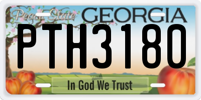 GA license plate PTH3180