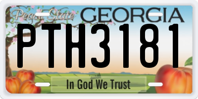 GA license plate PTH3181