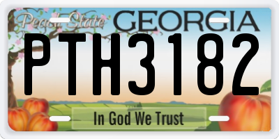 GA license plate PTH3182