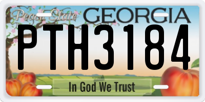GA license plate PTH3184