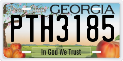 GA license plate PTH3185