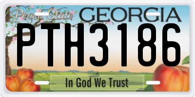 GA license plate PTH3186
