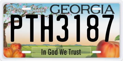 GA license plate PTH3187
