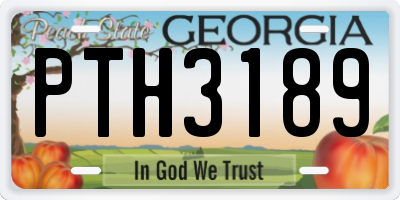 GA license plate PTH3189