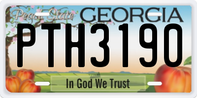 GA license plate PTH3190