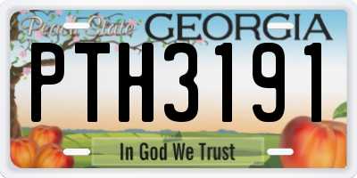 GA license plate PTH3191
