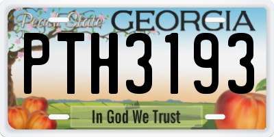 GA license plate PTH3193