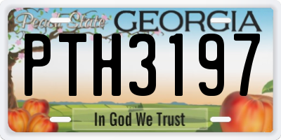 GA license plate PTH3197