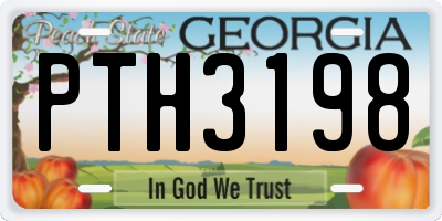 GA license plate PTH3198