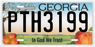 GA license plate PTH3199