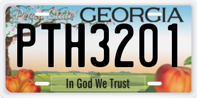 GA license plate PTH3201