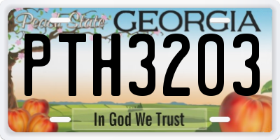 GA license plate PTH3203