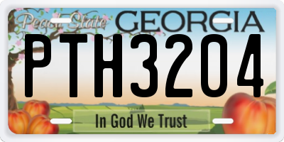 GA license plate PTH3204