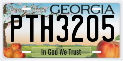 GA license plate PTH3205