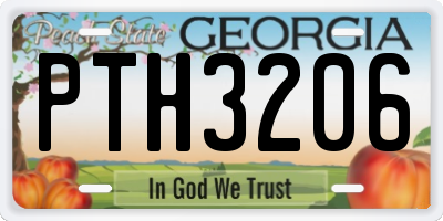 GA license plate PTH3206