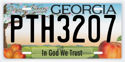 GA license plate PTH3207