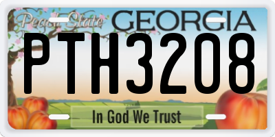 GA license plate PTH3208