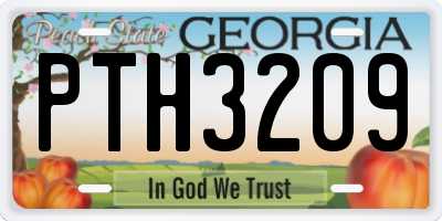 GA license plate PTH3209