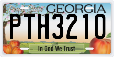 GA license plate PTH3210