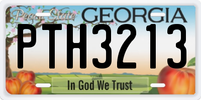 GA license plate PTH3213