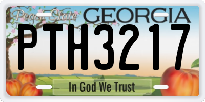 GA license plate PTH3217