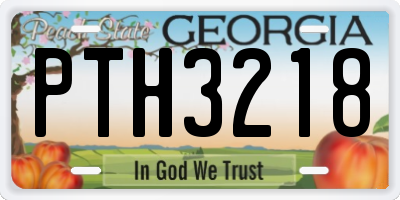 GA license plate PTH3218