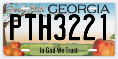 GA license plate PTH3221