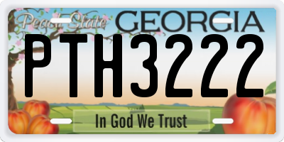 GA license plate PTH3222