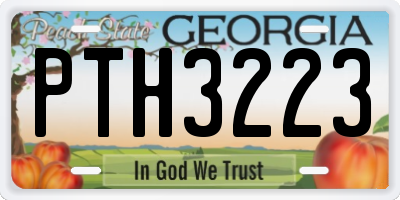 GA license plate PTH3223