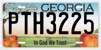 GA license plate PTH3225