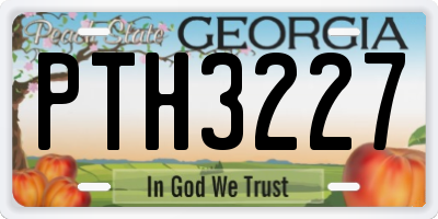 GA license plate PTH3227